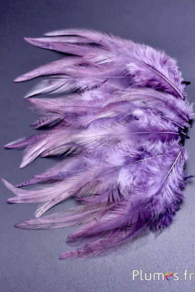 Gallo - 8-12 cm - lilla-grigio